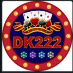 DK222 Game
