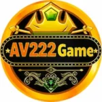 AV222 Game