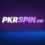 PKRSPIN Game
