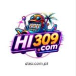 HI309 Game